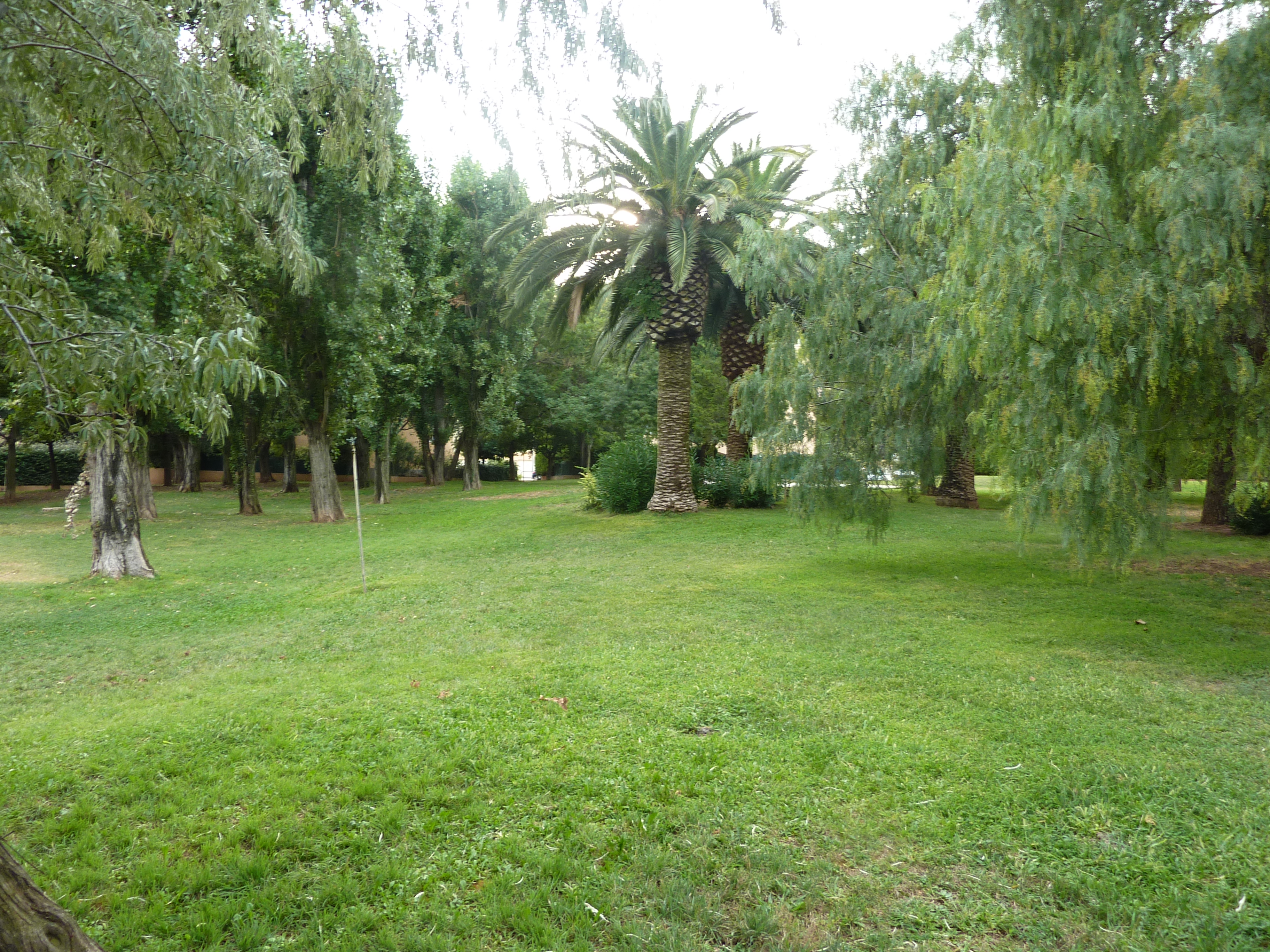 Jardin 7 