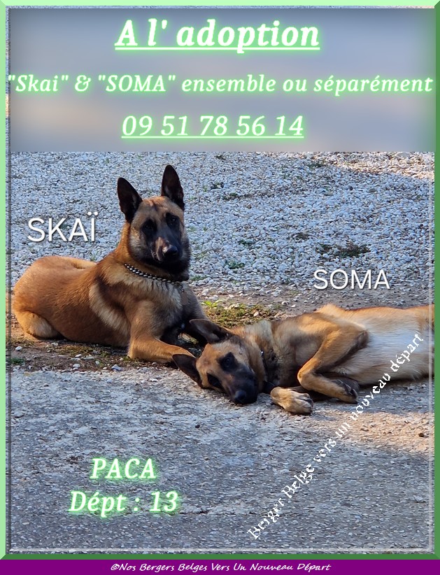 Skai-Soma-2-post-2