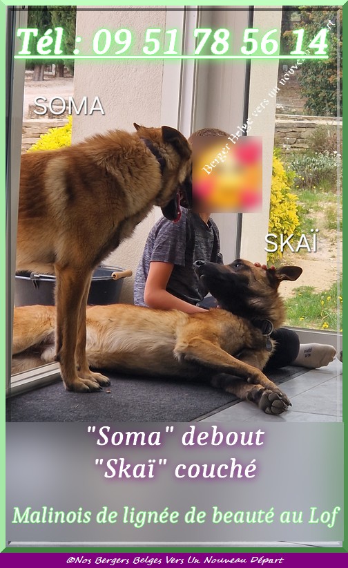 Skai-Soma-4-post-4