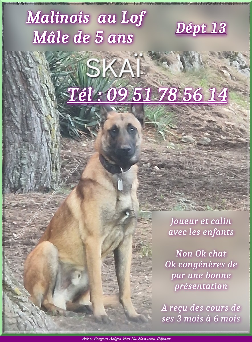Skai-1-post-1