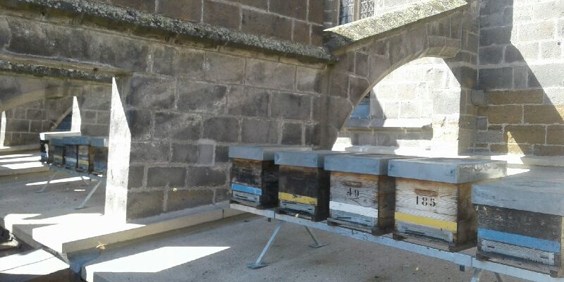 Slider cathedrale