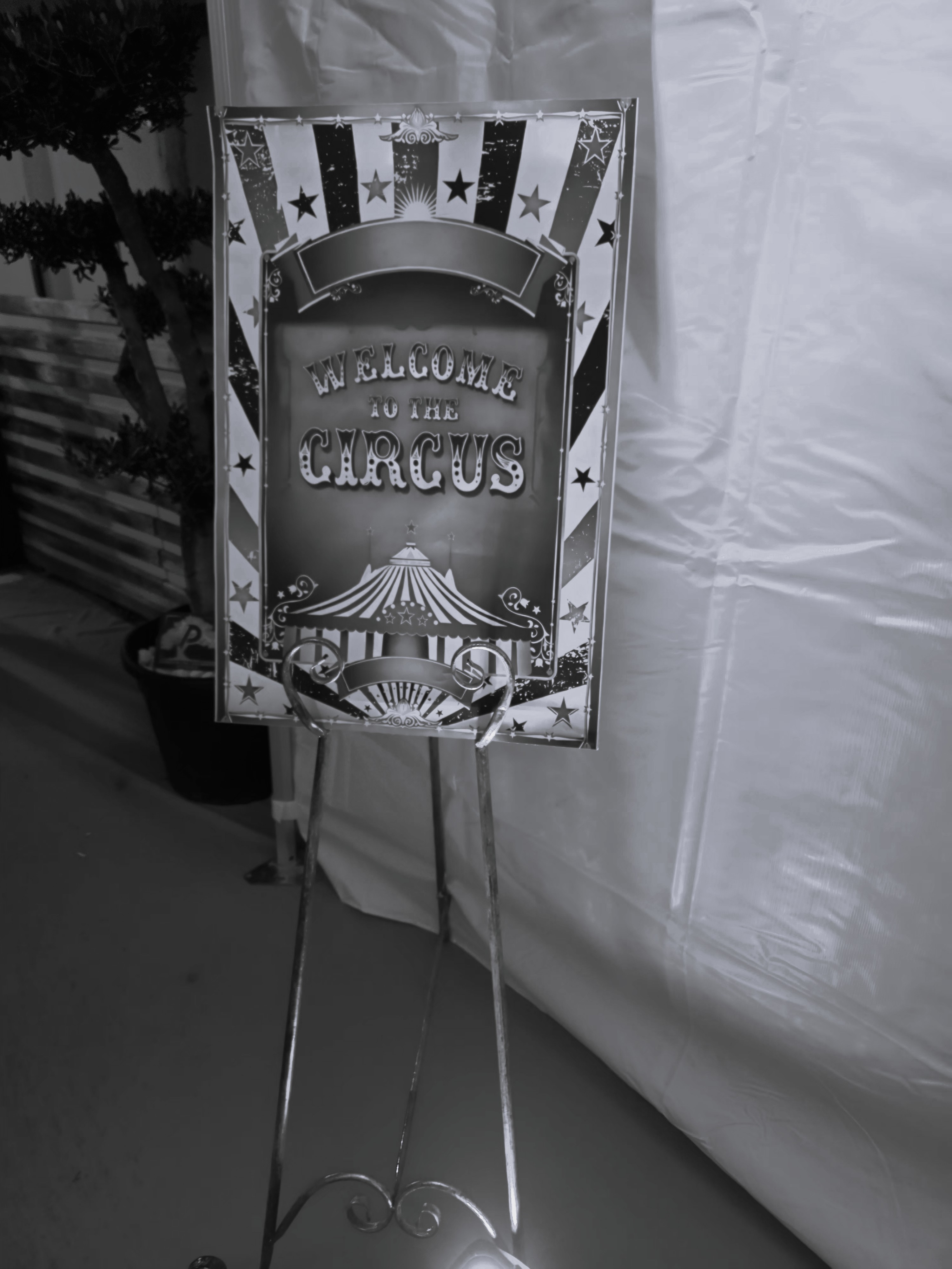 Circus 1