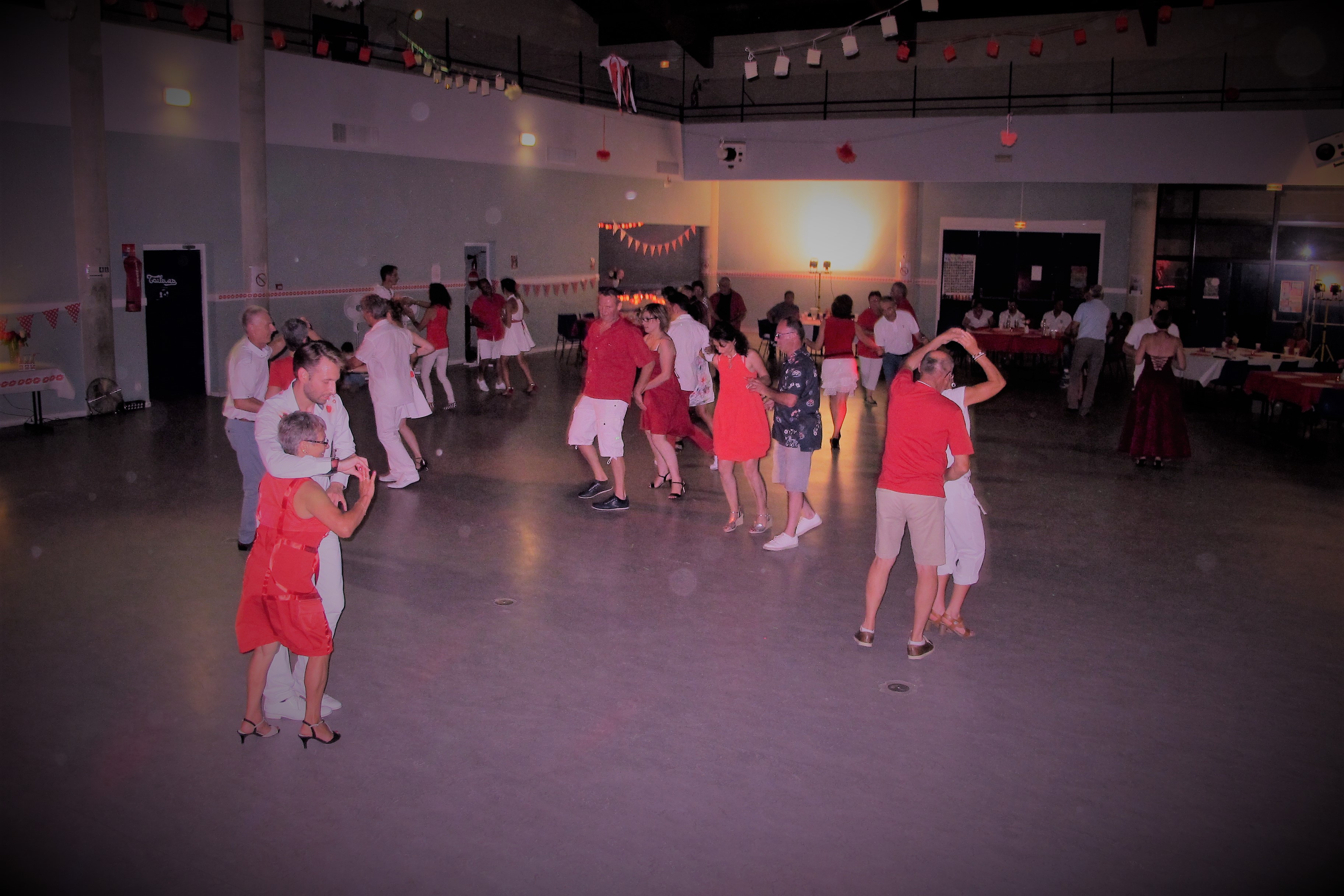 Img 2548