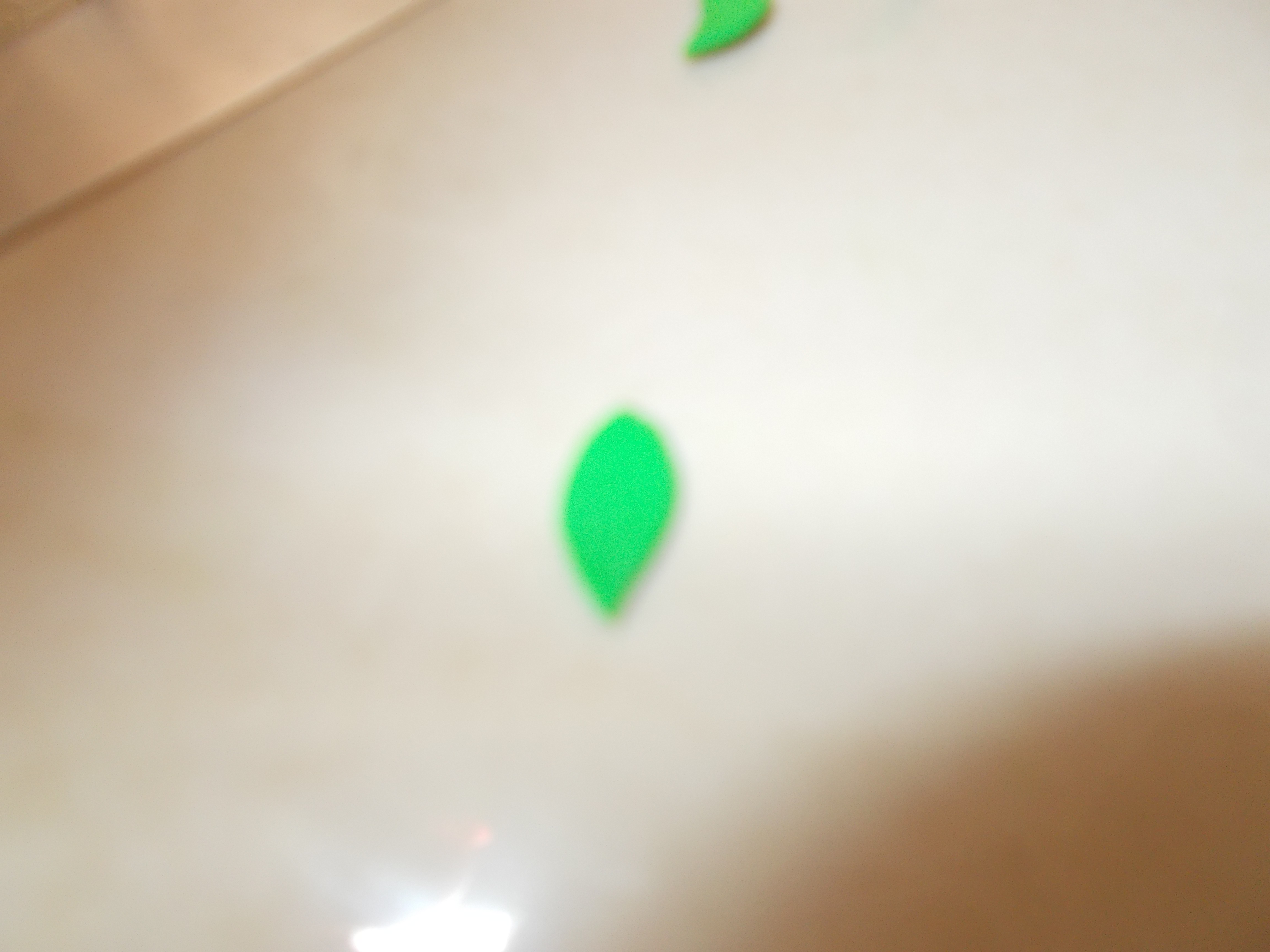 Dscn0250