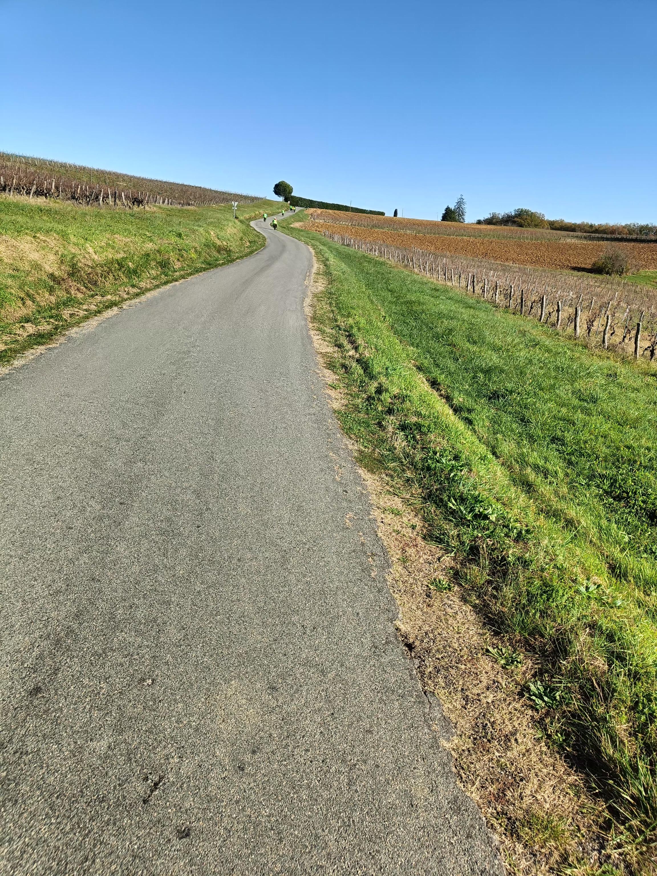 Signal 2025 11 22 19 32 01 176 9