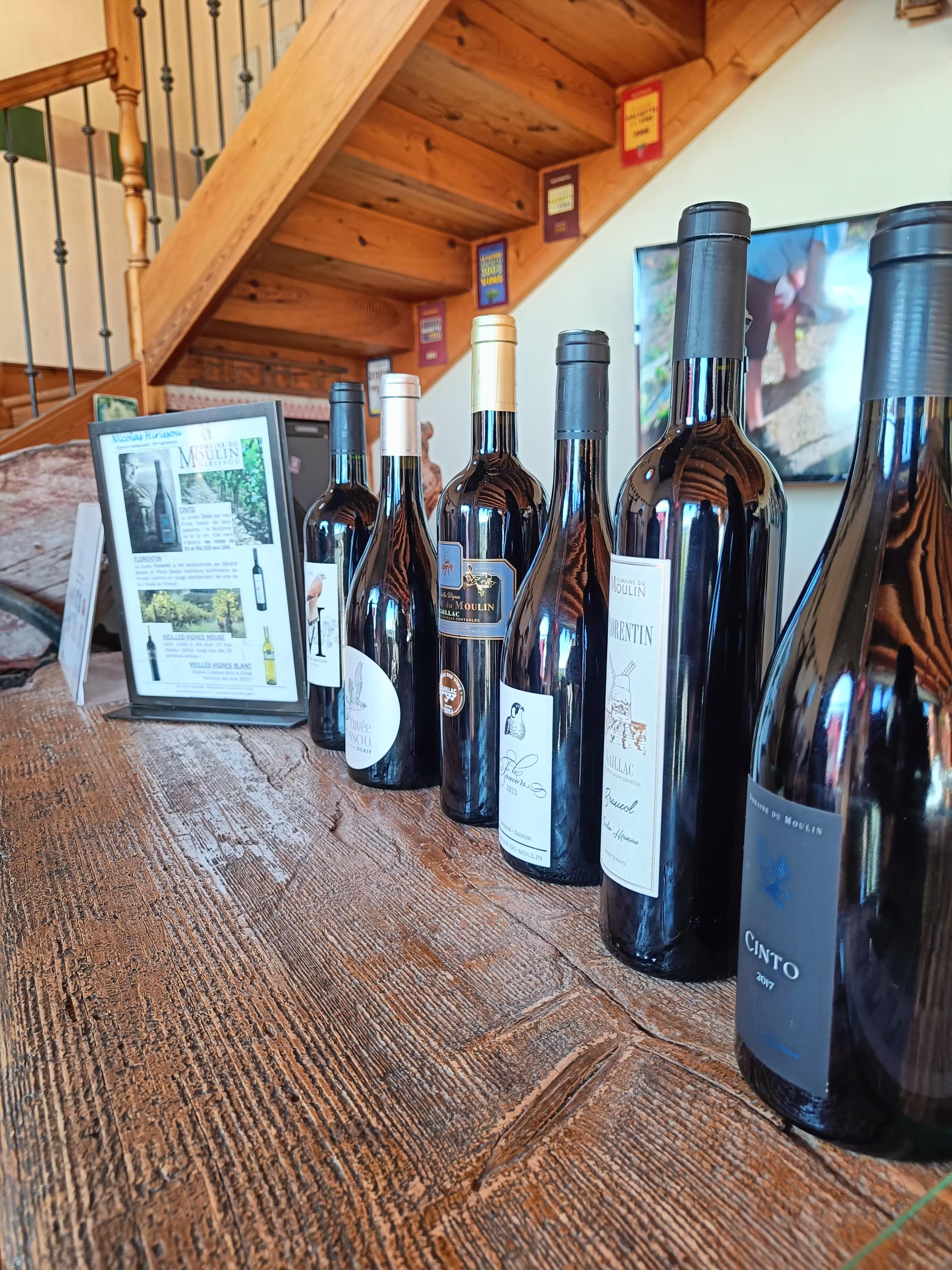 Signal 2025 11 22 19 32 01 176 7