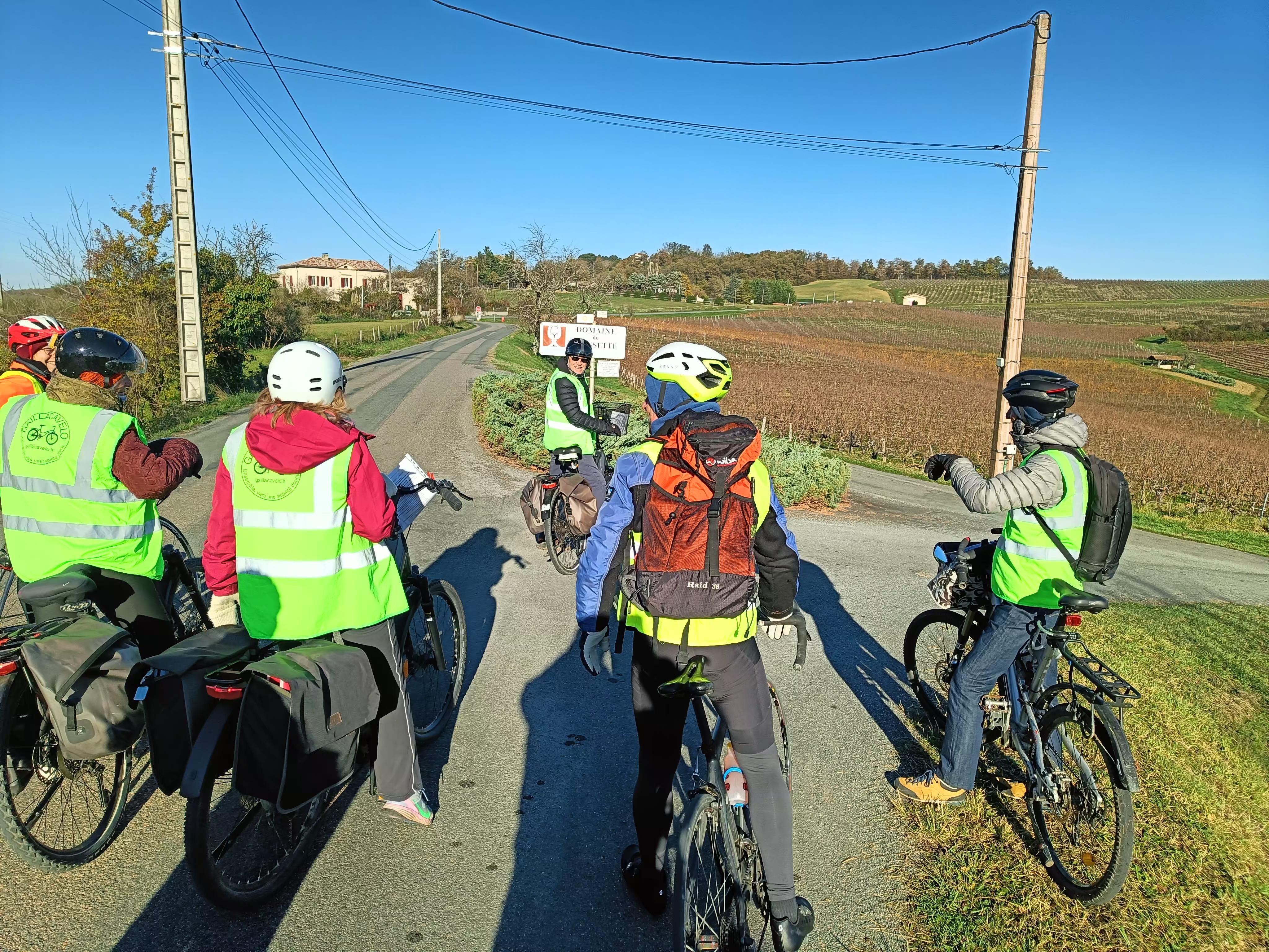 Signal 2025 11 22 19 32 01 176 1