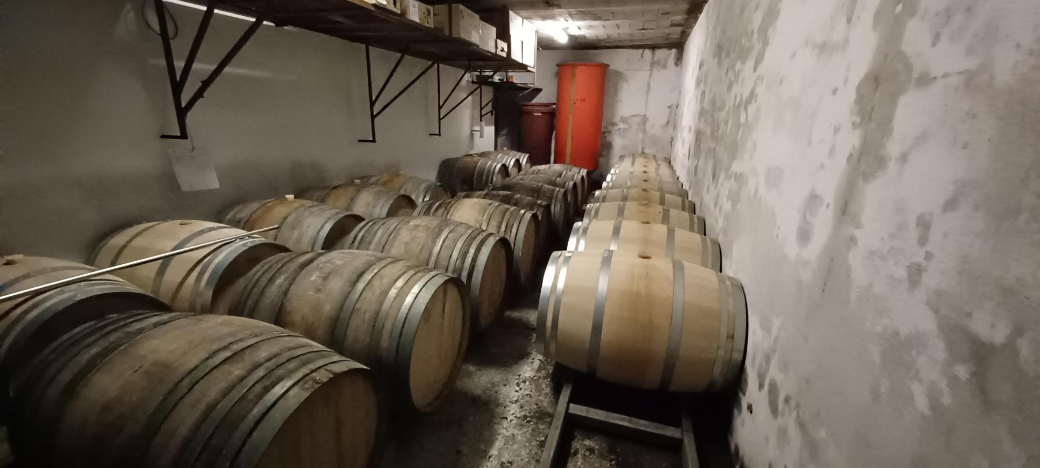 Signal 2025 11 22 19 05 11 433 4