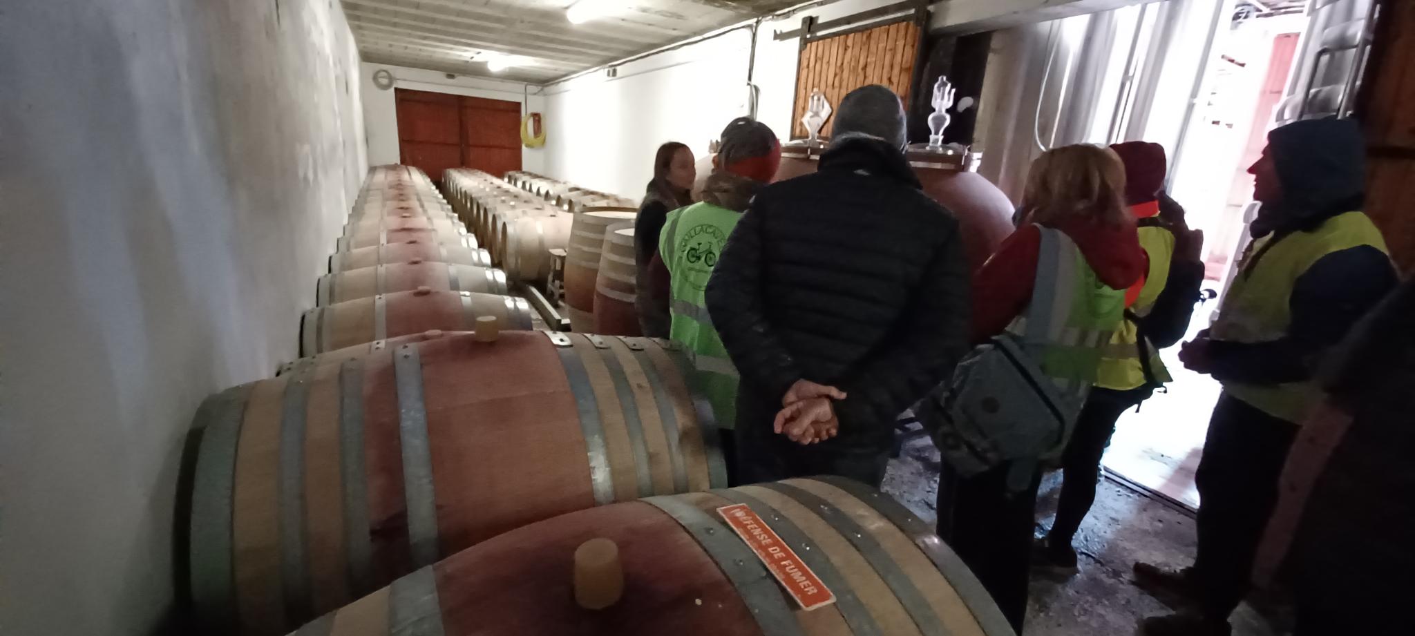 Signal 2025 11 22 19 05 11 433 3