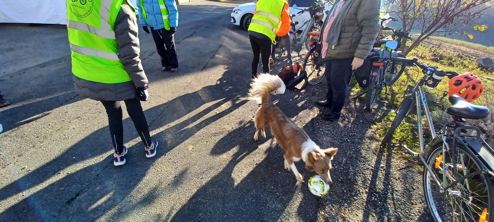 Signal 2025 11 22 19 05 11 433 2