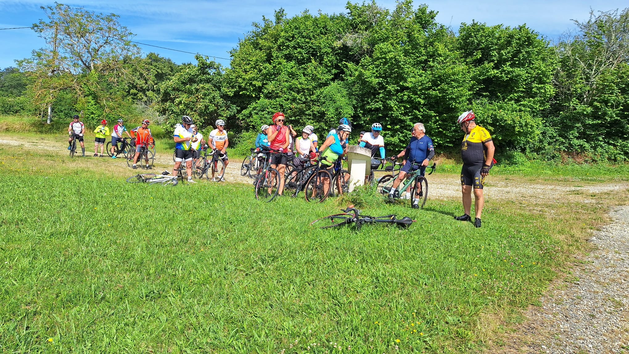 3dfbef3d 167b 4fb4 9399 79f77946976a