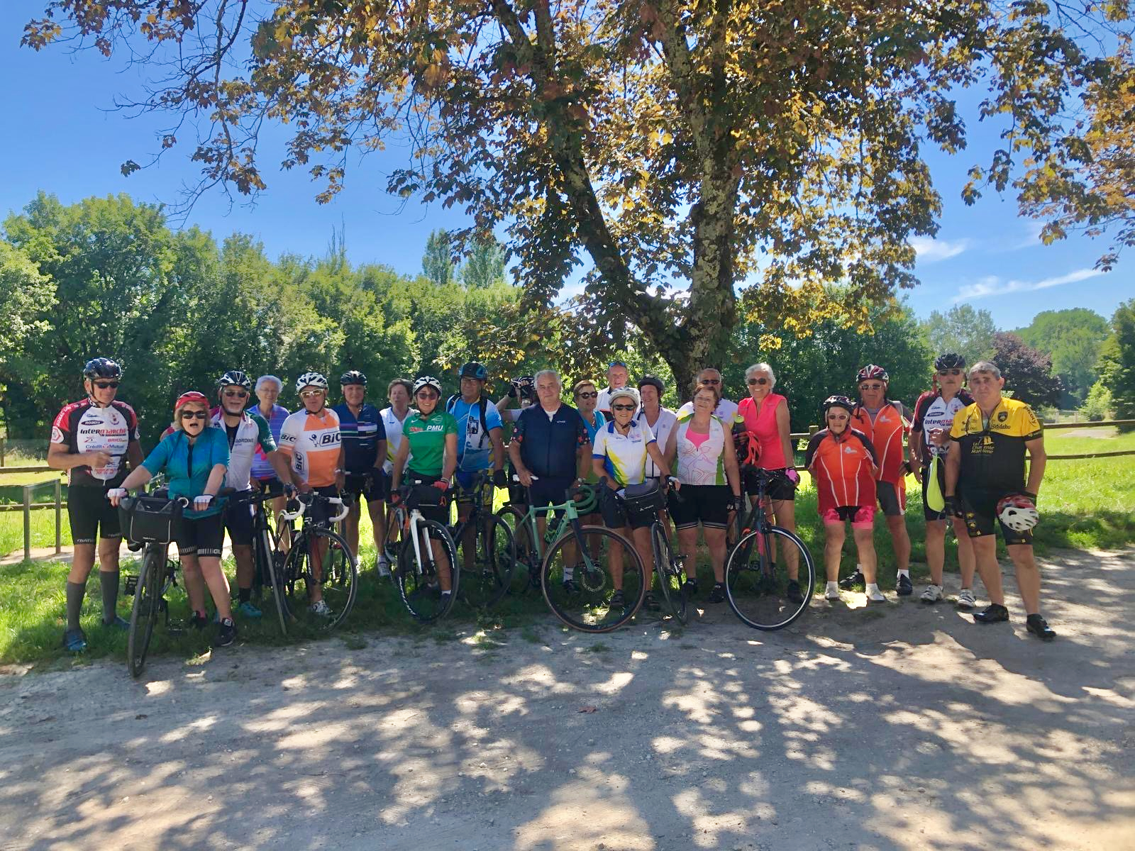 3672991c d204 4cf5 8090 dc7cd417db4b 1 