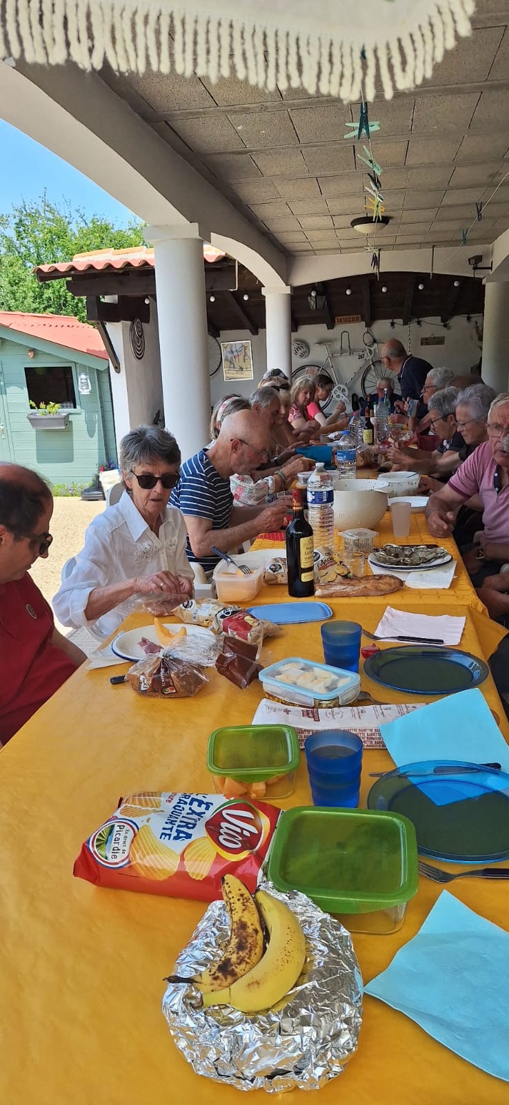 D5c6d7f9 1262 4672 9165 316576094436