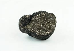 Truffe-Perigord