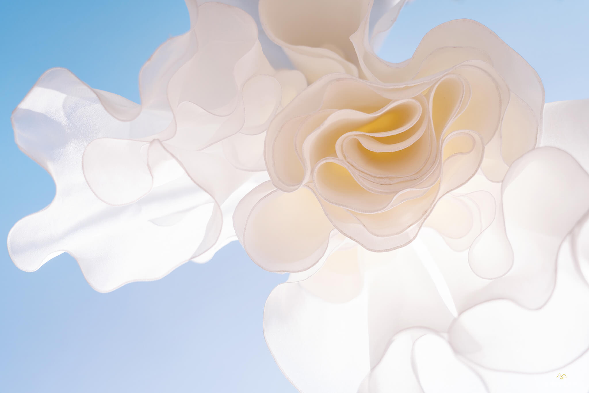 Photographe-mariage-lyon-Amedezal-wedding-planner-PurBonheur 2048px 005