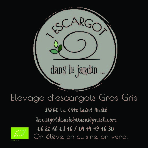 1 escargot dans le jardin