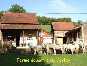 Ferme equestre corlay