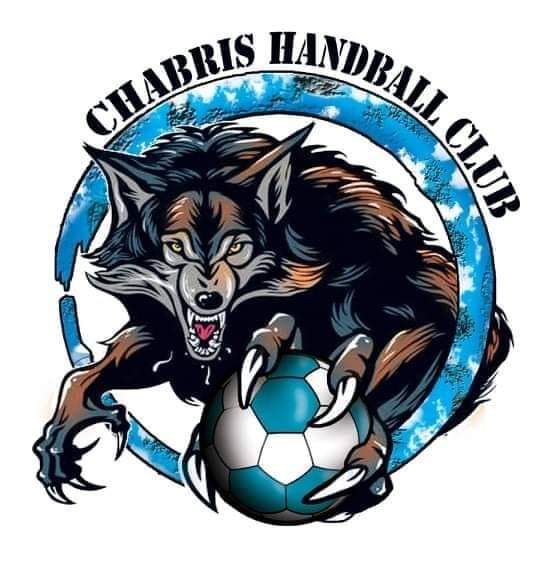 Logo-handball