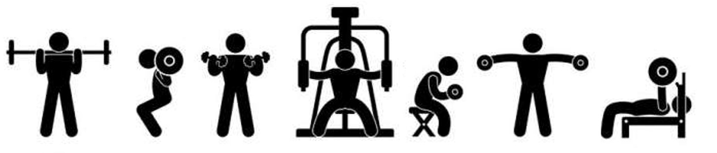 Musculation