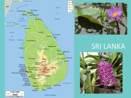 Sri Lanka - Janvier février 2019
