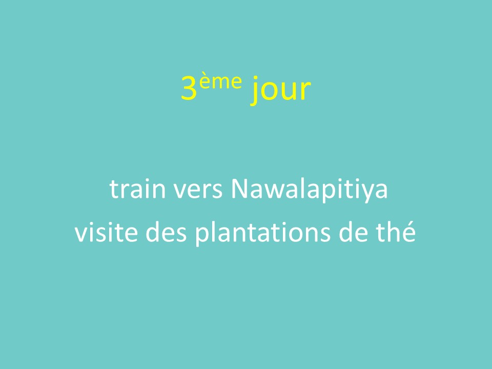 Diapositive11