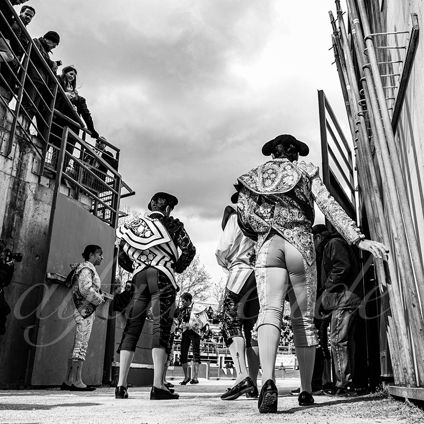 St martin de crau 20220402 002