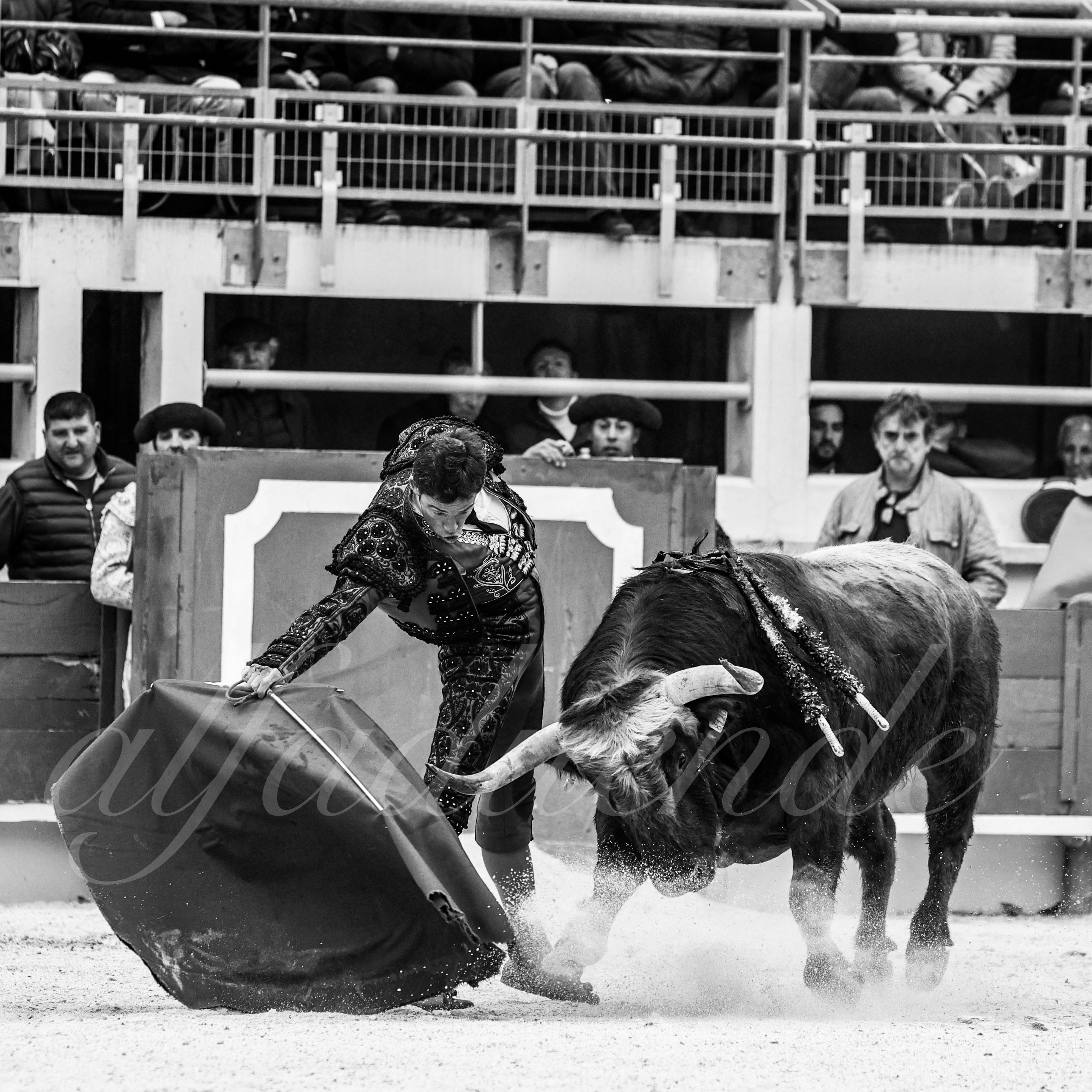 St martin de crau 20220402 003