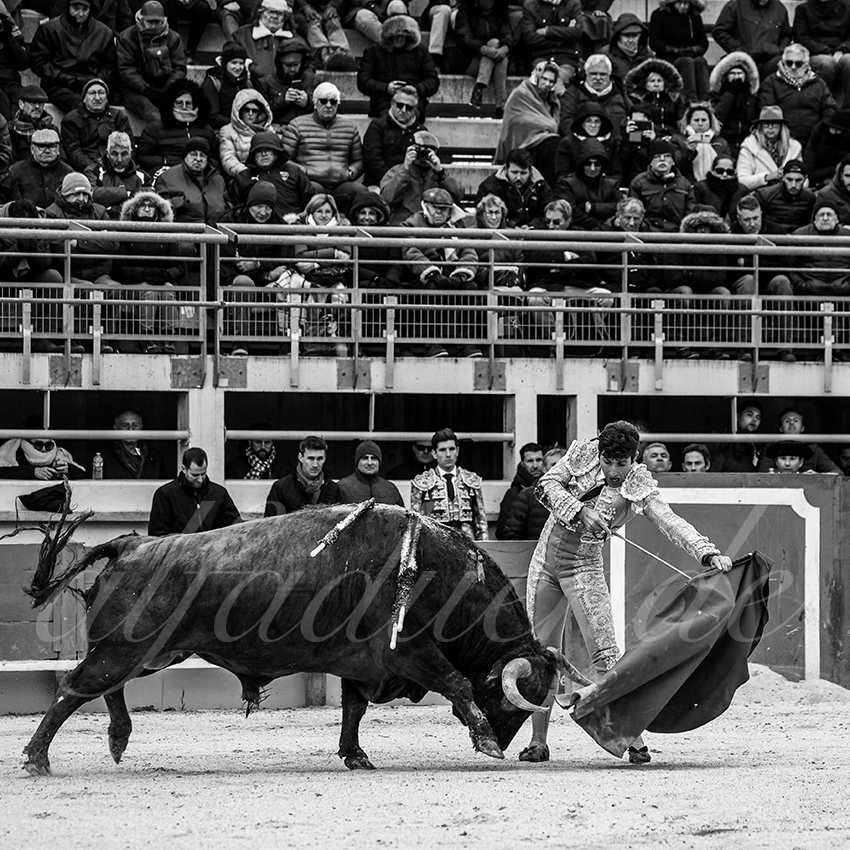 St martin de crau 20220402 004