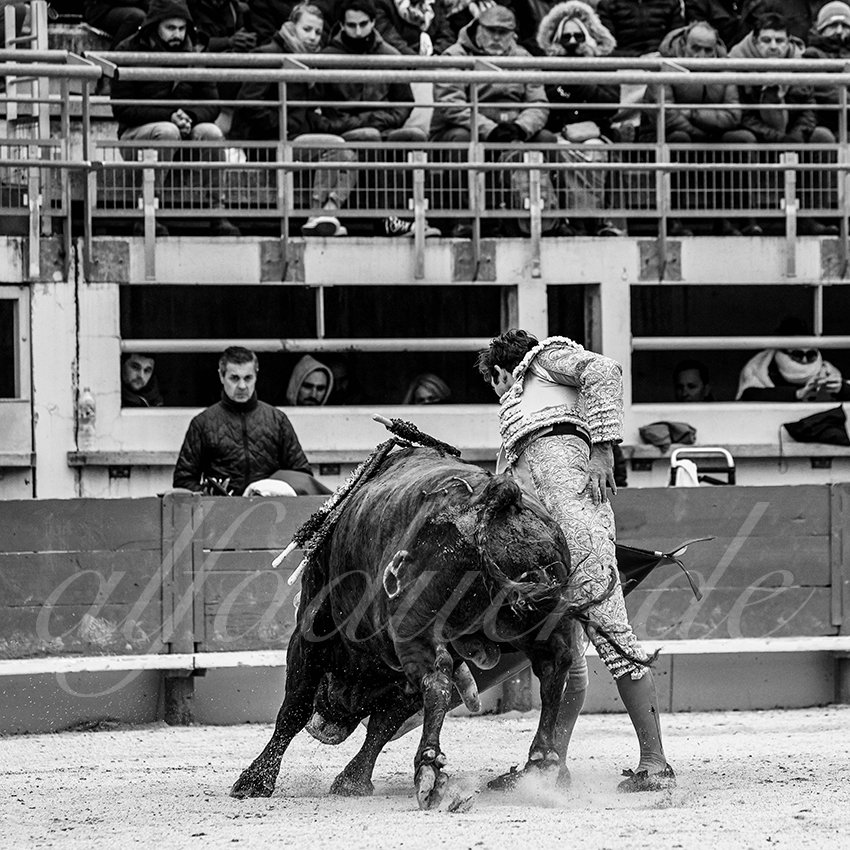 St martin de crau 20220402 005