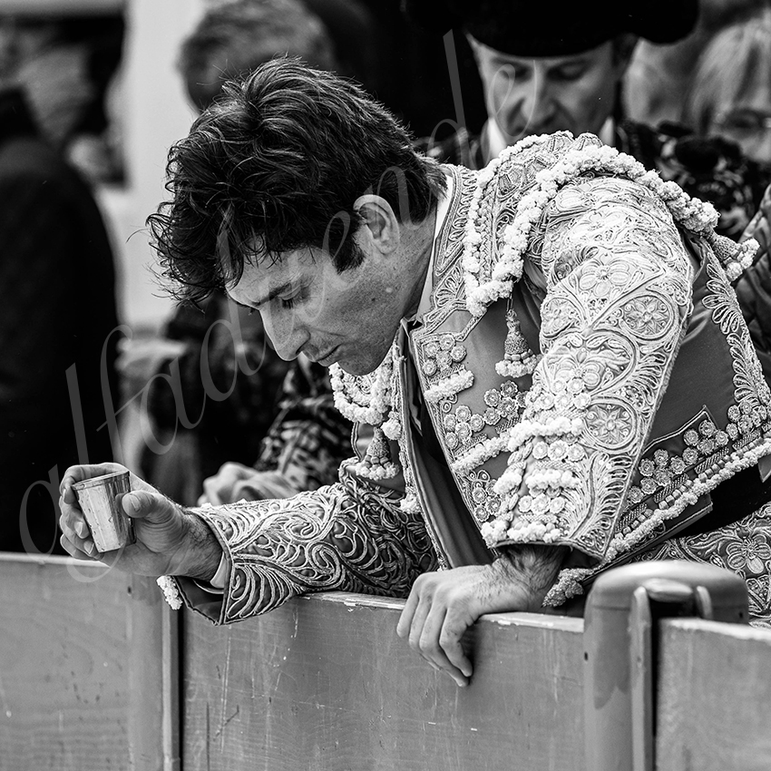 St martin de crau 20220402 006