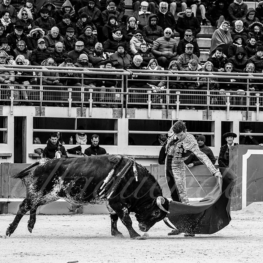 St martin de crau 20220402 007