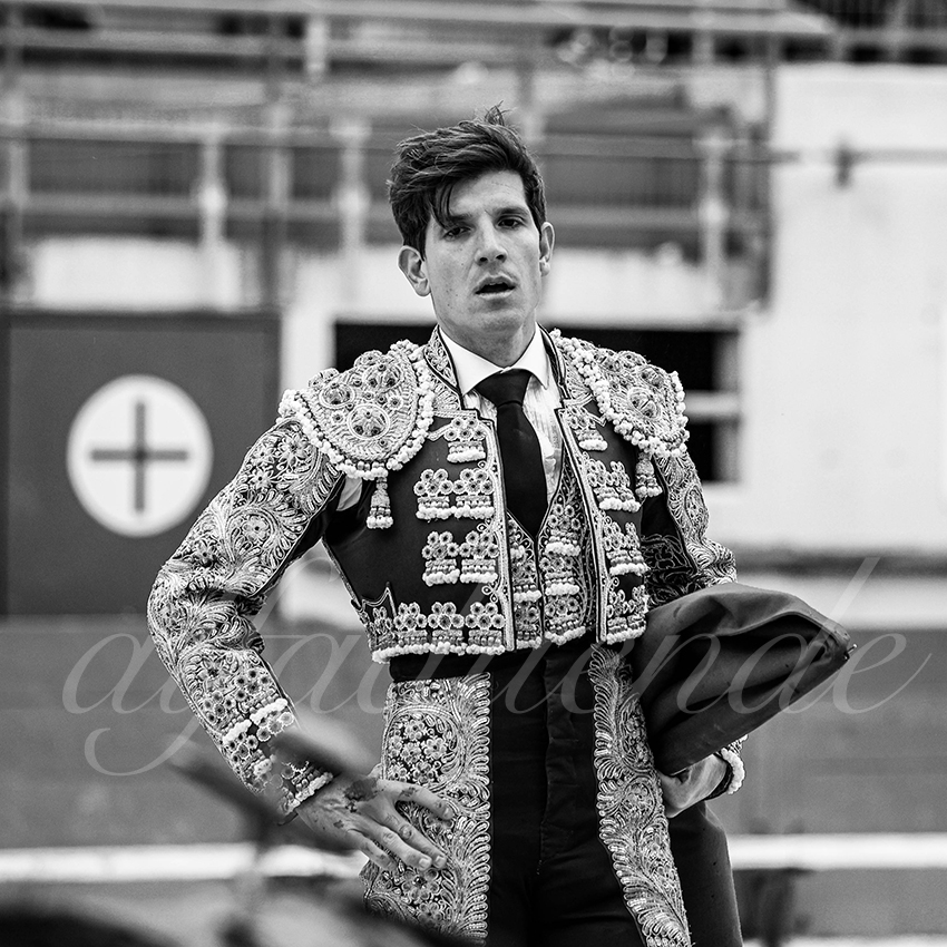 St martin de crau 20220402 008