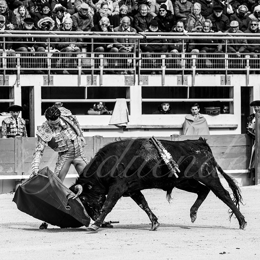 St martin de crau 20220402 009