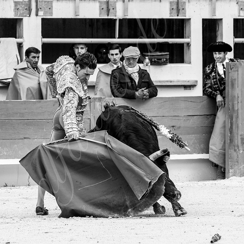 St martin de crau 20220402 010