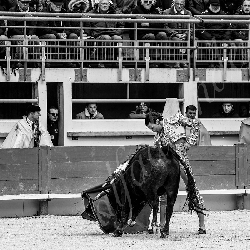 St martin de crau 20220402 011