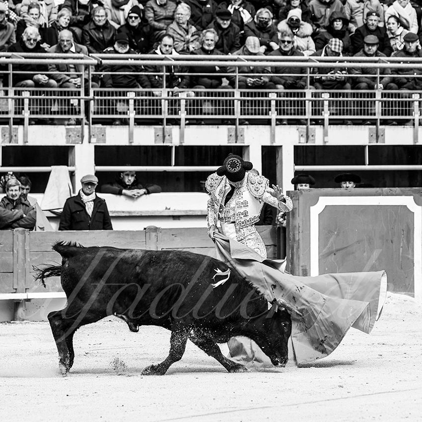 St martin de crau 20220402 012