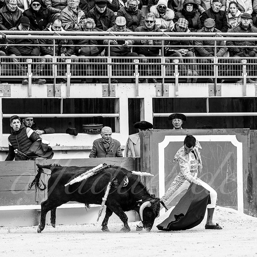 St martin de crau 20220402 013