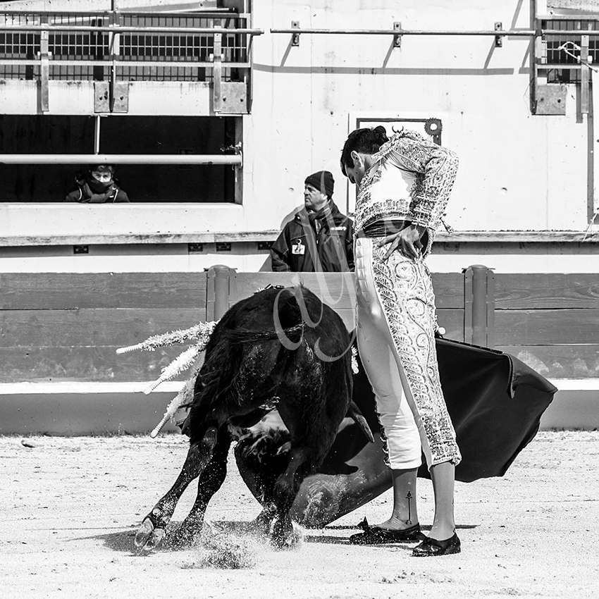 St martin de crau 20220402 014