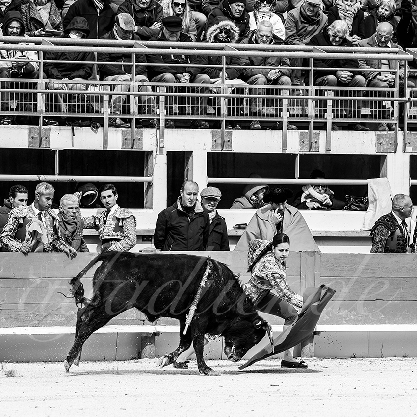 St martin de crau 20220402 015