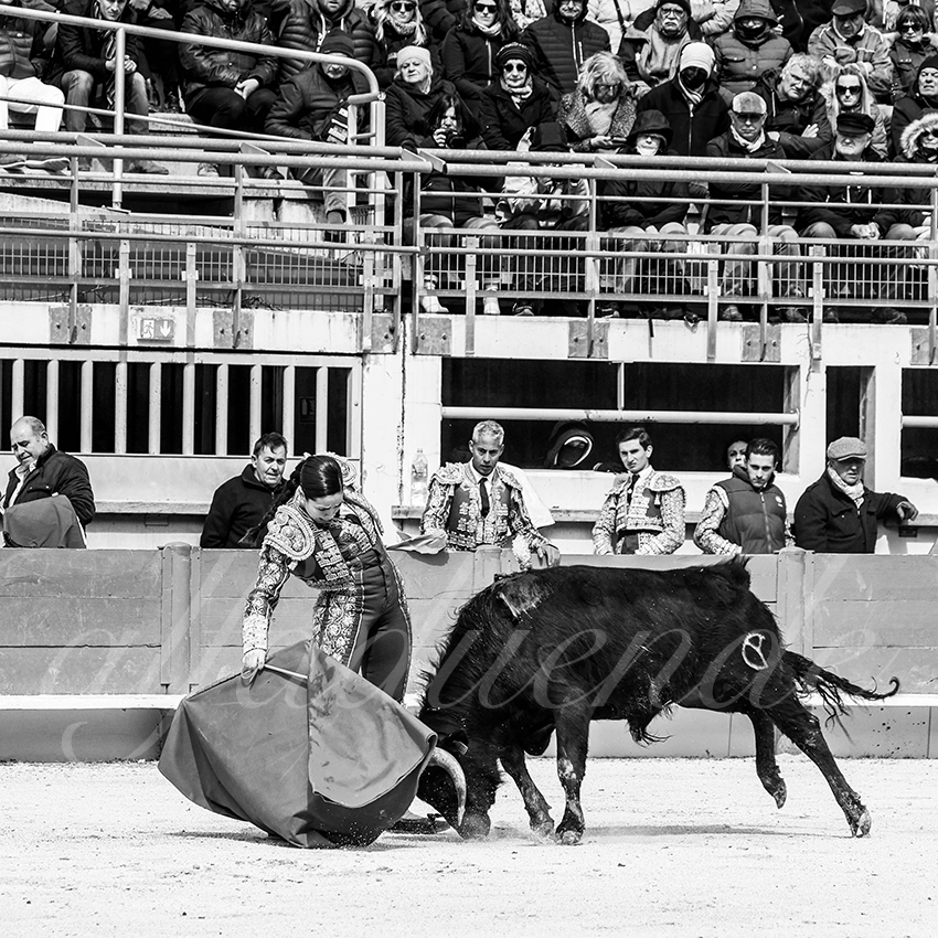 St martin de crau 20220402 016