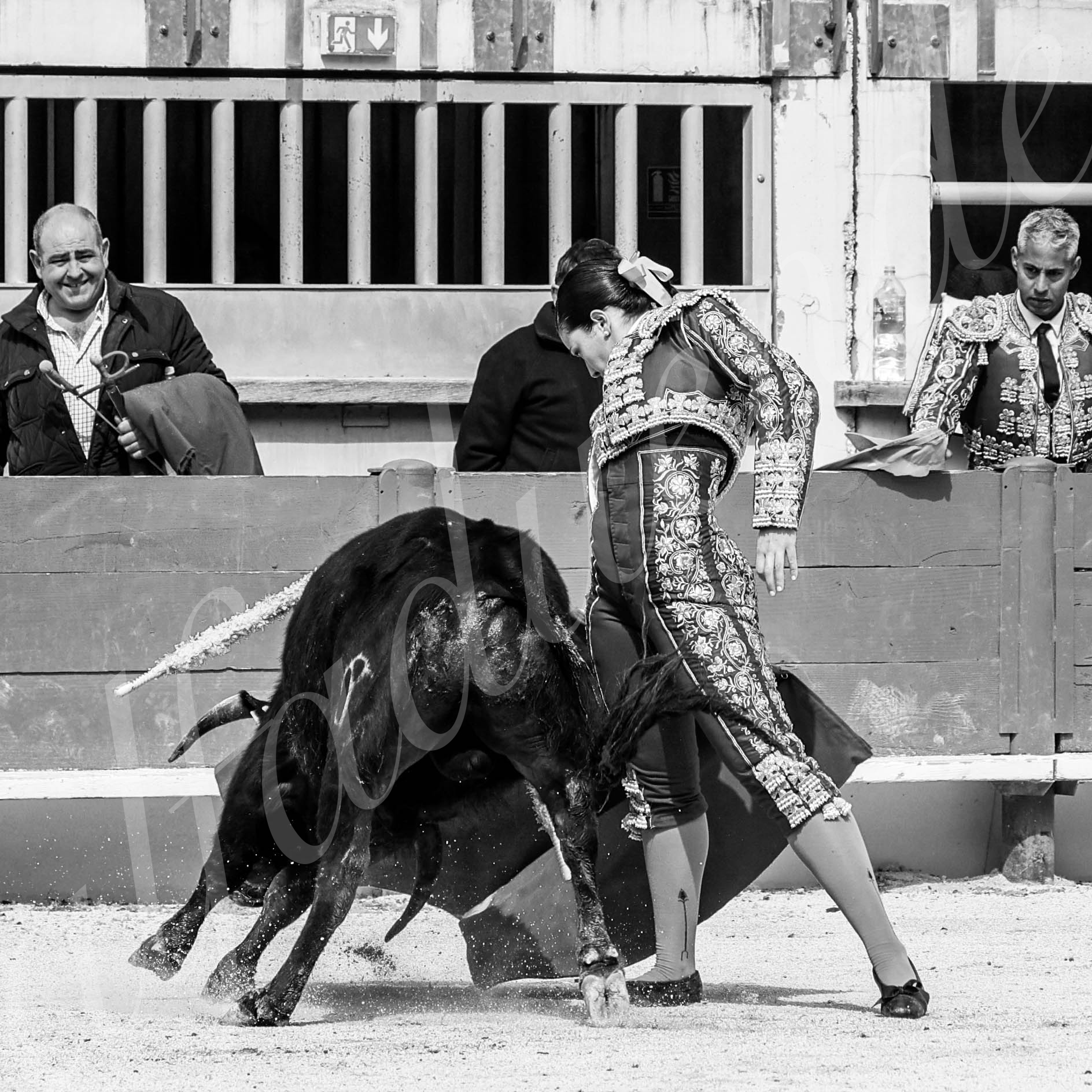 St martin de crau 20220402 017