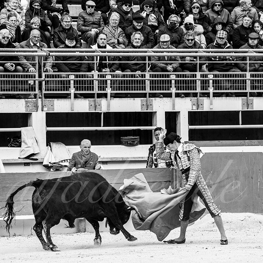 St martin de crau 20220402 018