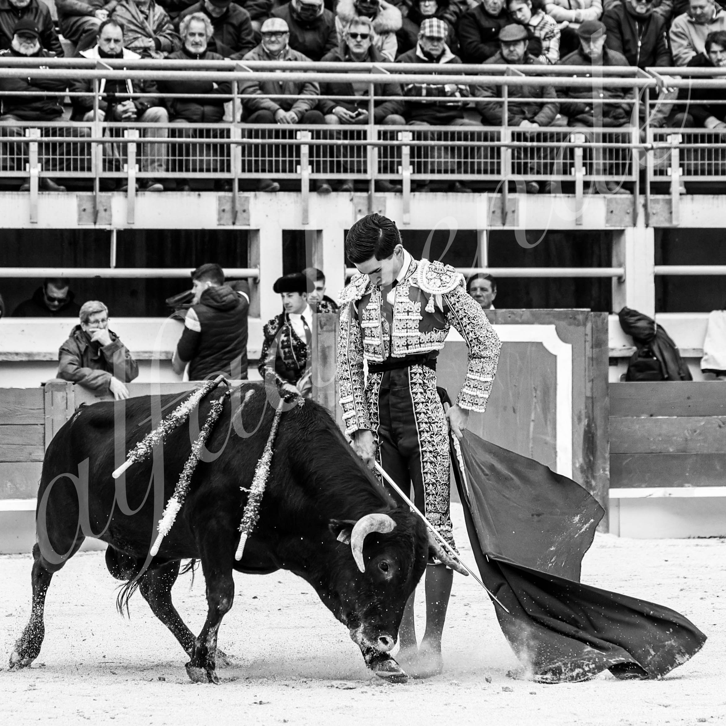 St martin de crau 20220402 019