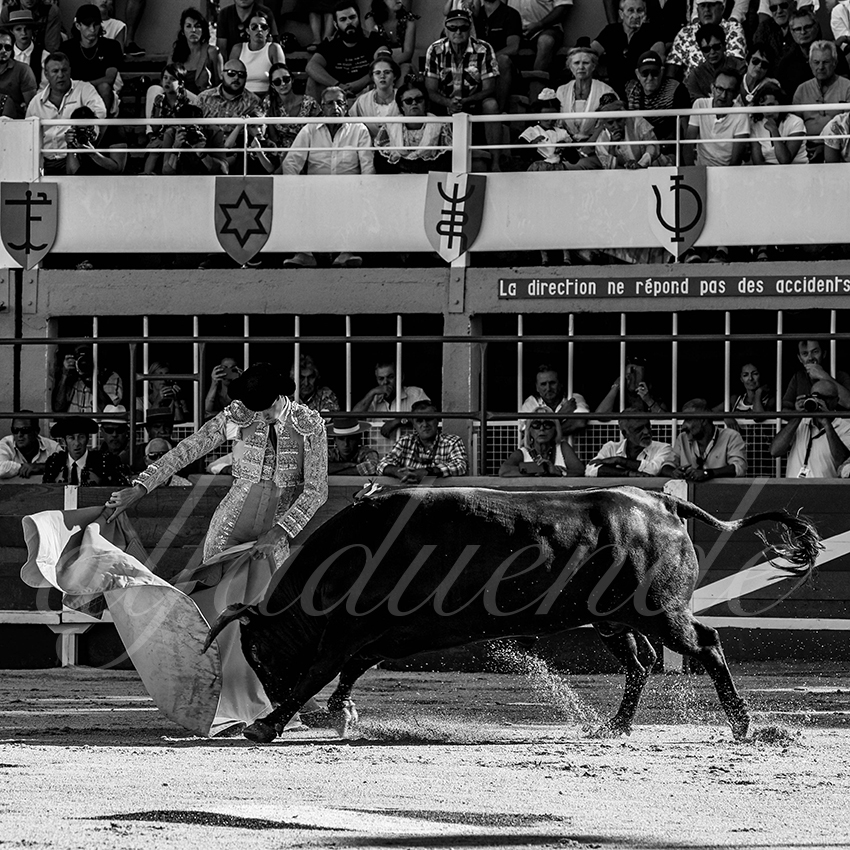 20220820 st gilles 002