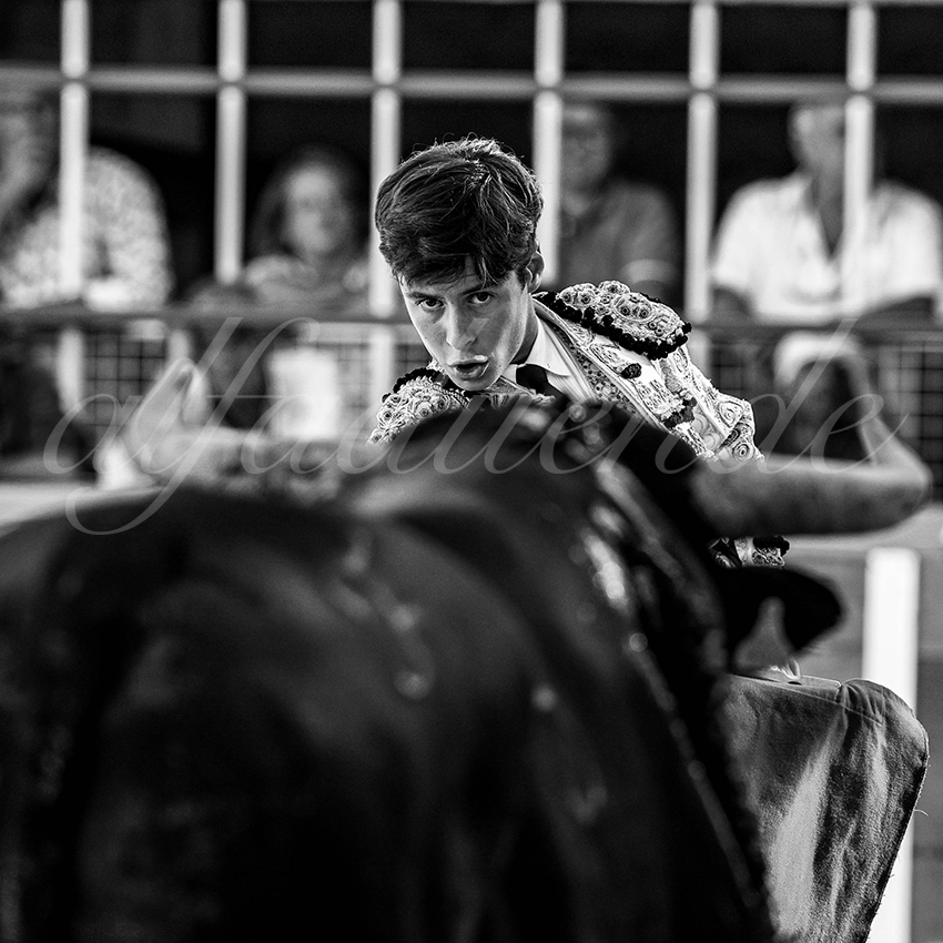 20220820 st gilles 005