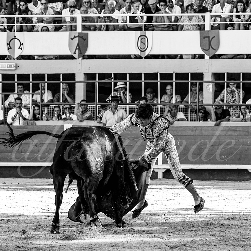 20220820 st gilles 009