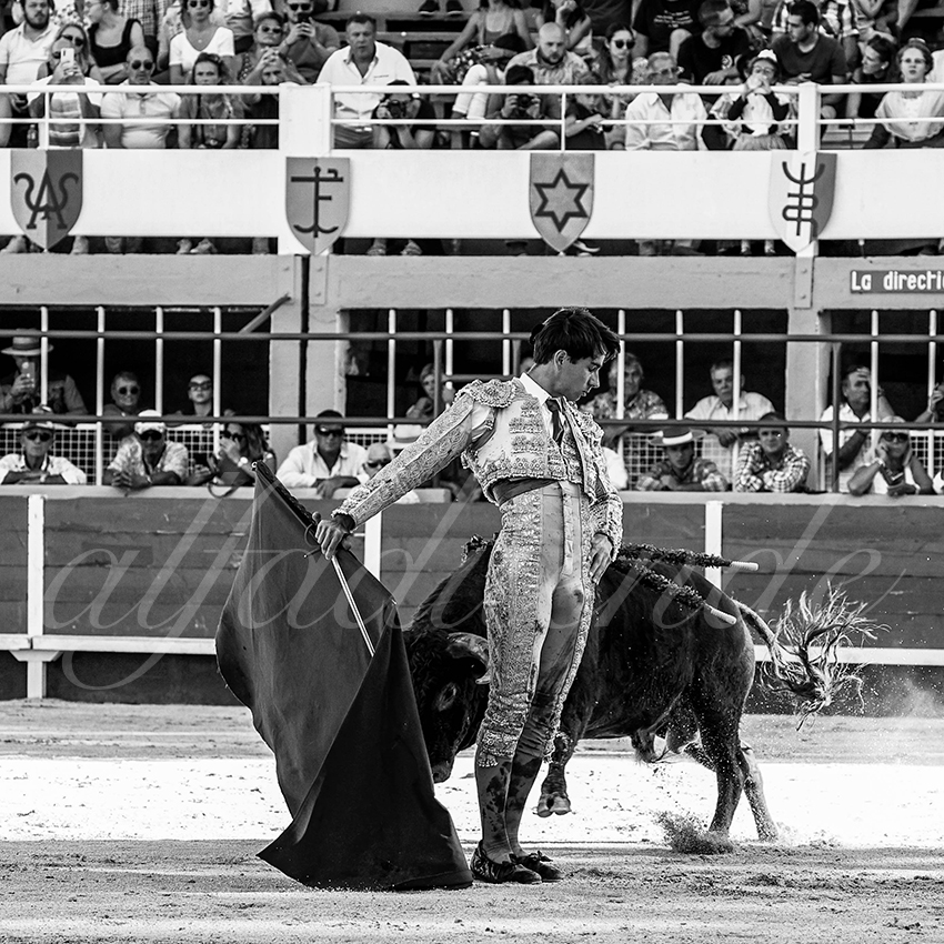 20220820 st gilles 010