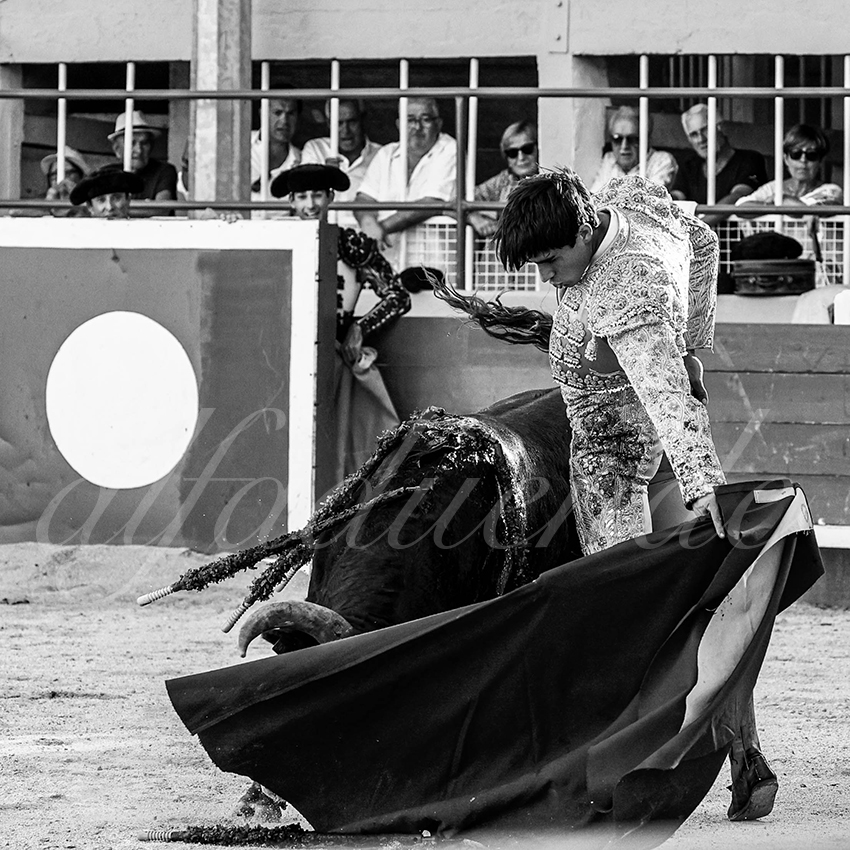 20220820 st gilles 012