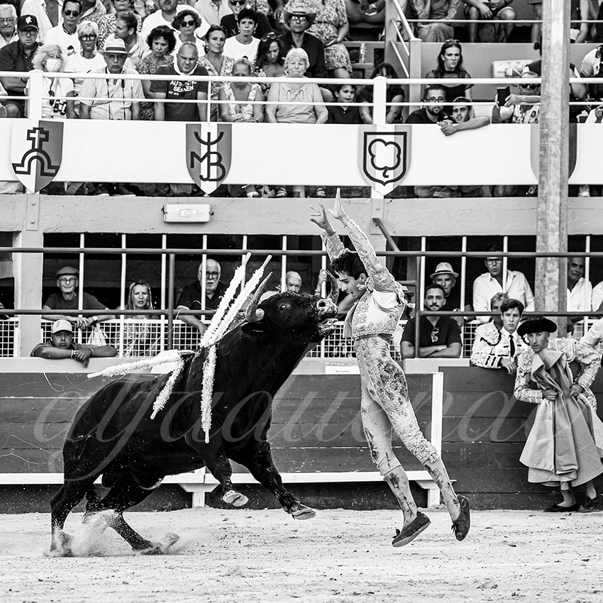 20220820 st gilles 014