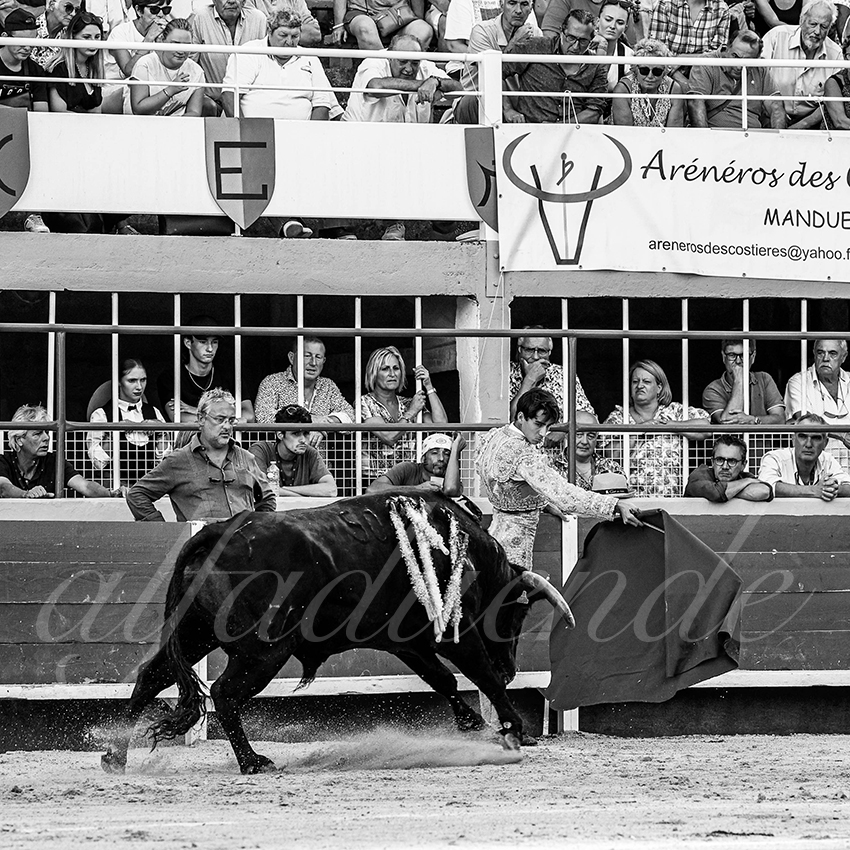 20220820 st gilles 015